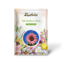 Pink sunflower seeds germination seedlings