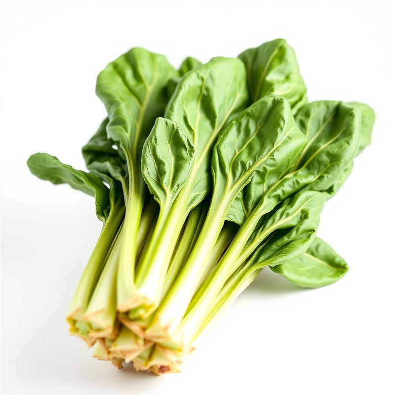 Green Swiss Chard Seeds for Vegetable Planting