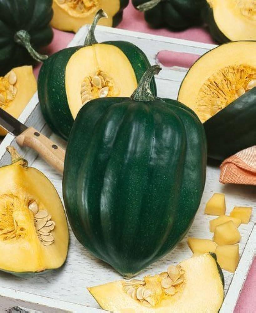 Table King Acorn Squash seeds for planting