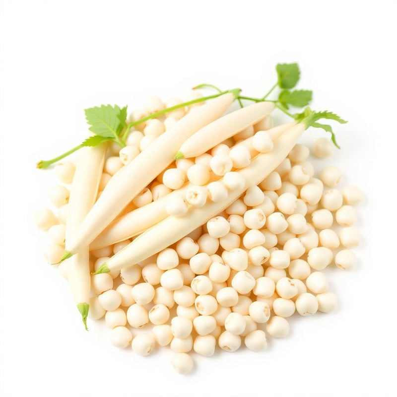 White Marrow Bean Seeds for Planting - High-Quality Vegetable Seeds