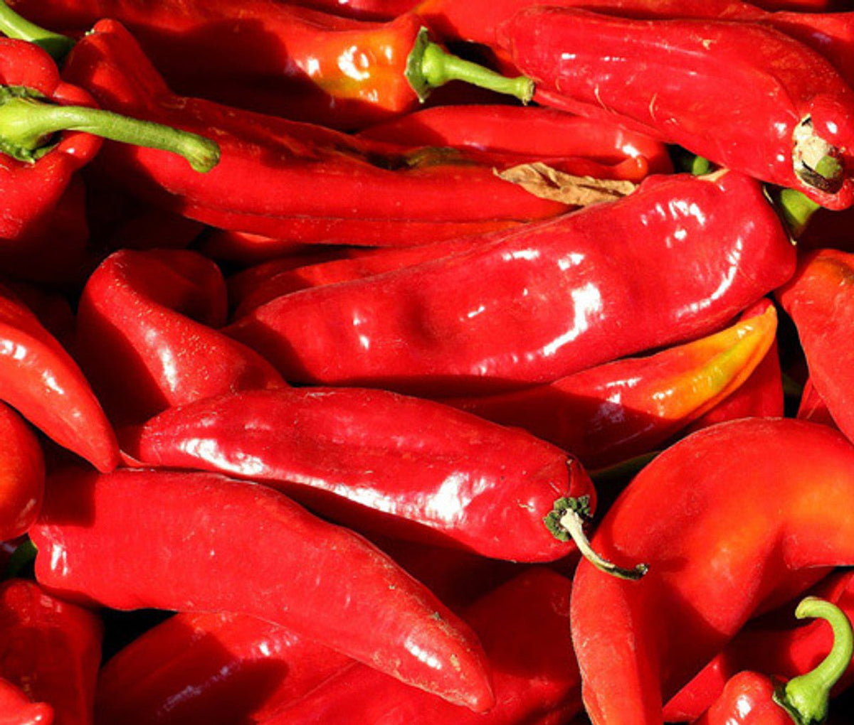 Sweet Marconi Pepper seeds for vegetable patch planting