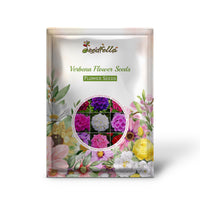 Verbena Seeds For Planting