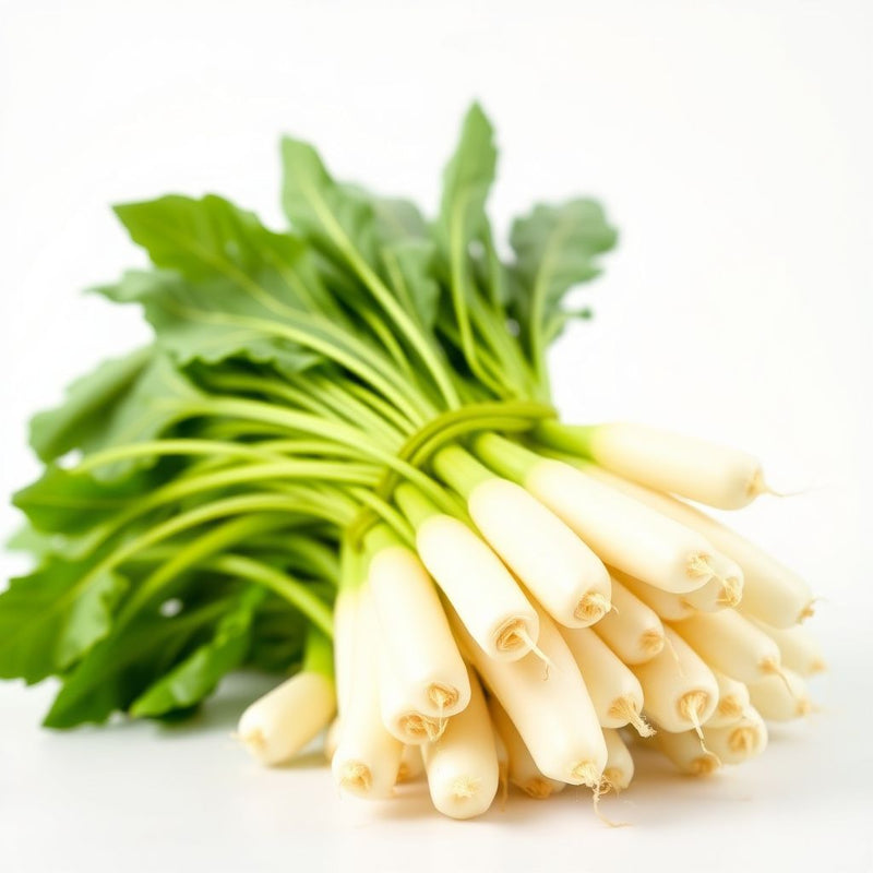 White Radish Seeds for Planting: Crisp & Fresh Harvest for Your Kitchen