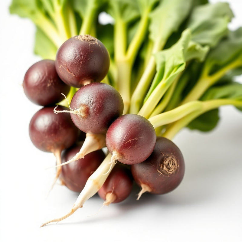 Planting Black Radish Seeds - Unique Flavor for Your Garden
