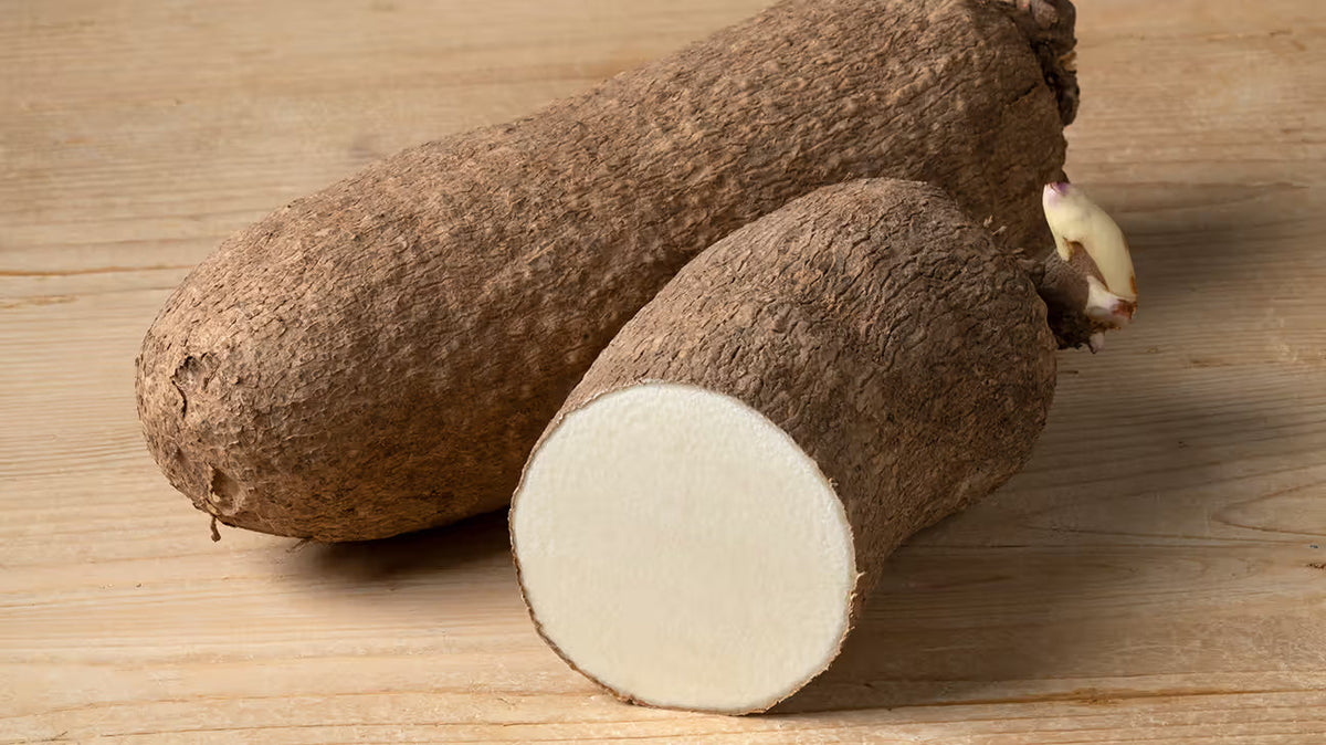 Yam Vegetable Seeds for Home Gardening