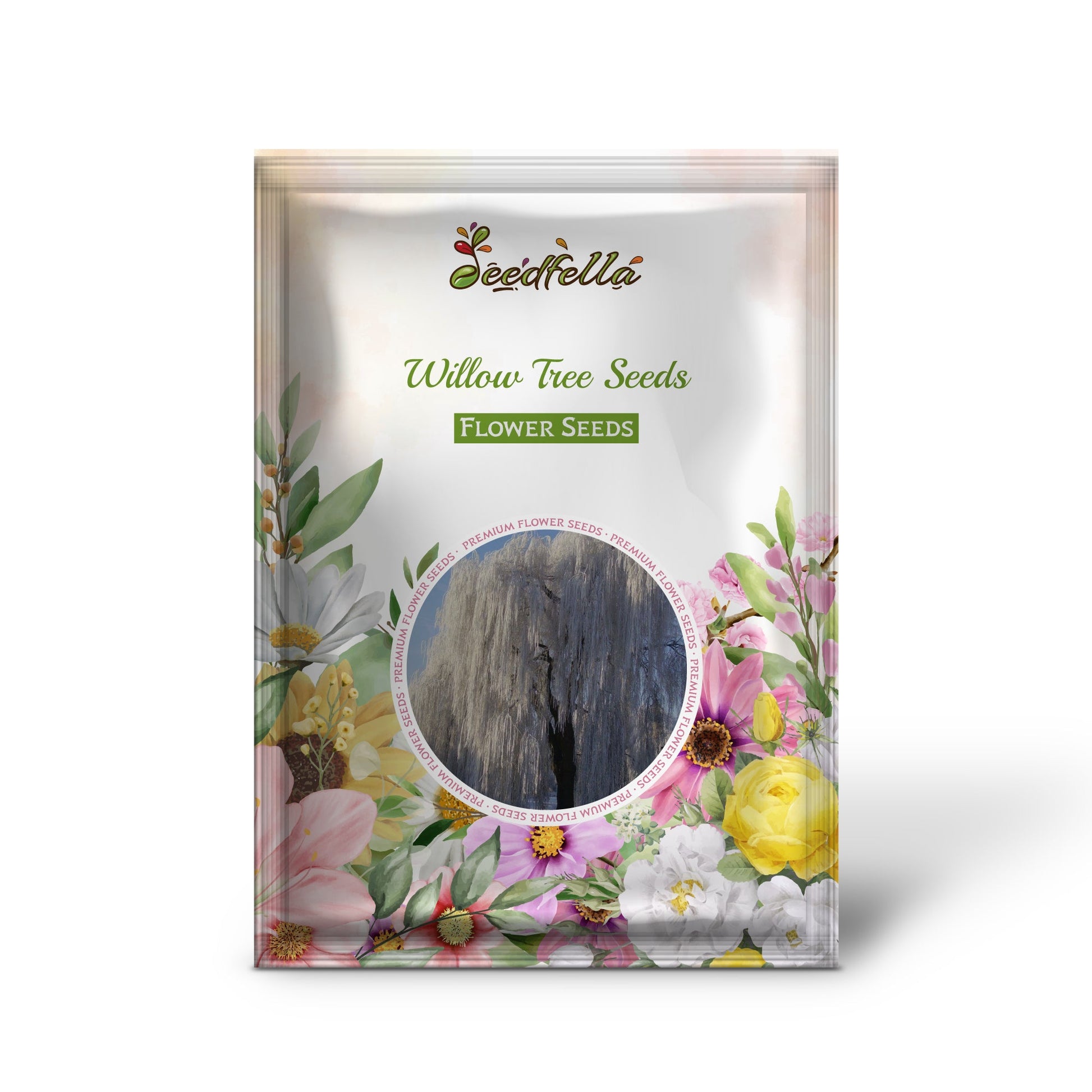 Willow Seeds For Planting