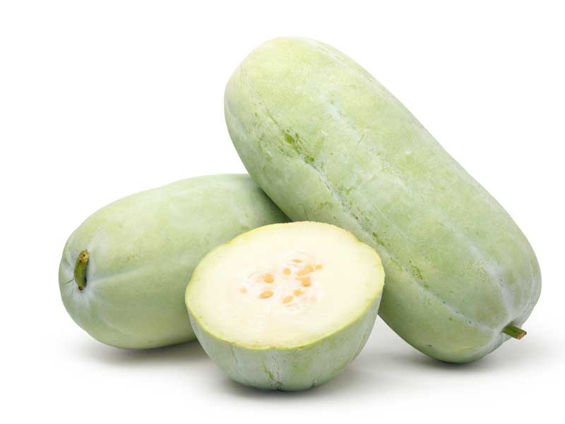 Wax Gourd Planting Seeds  Ideal for Your Vegetable Garden