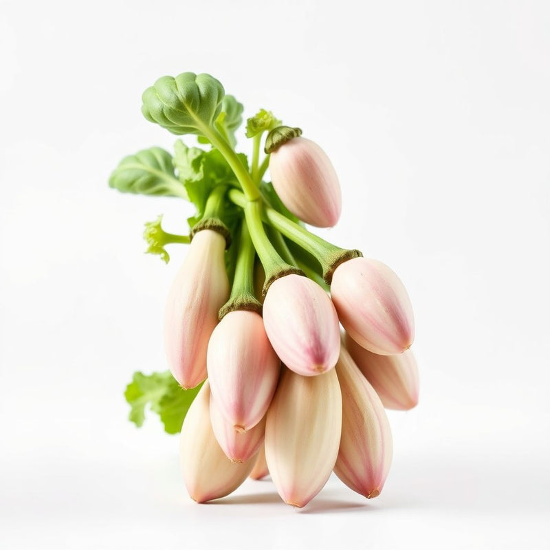 Lady Finger Vegetable Seeds - Comprehensive Planting Guide