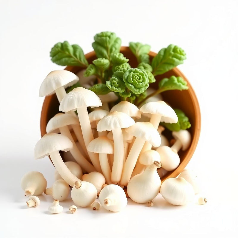 White Mushroom Vegetable Seeds for Easy Planting