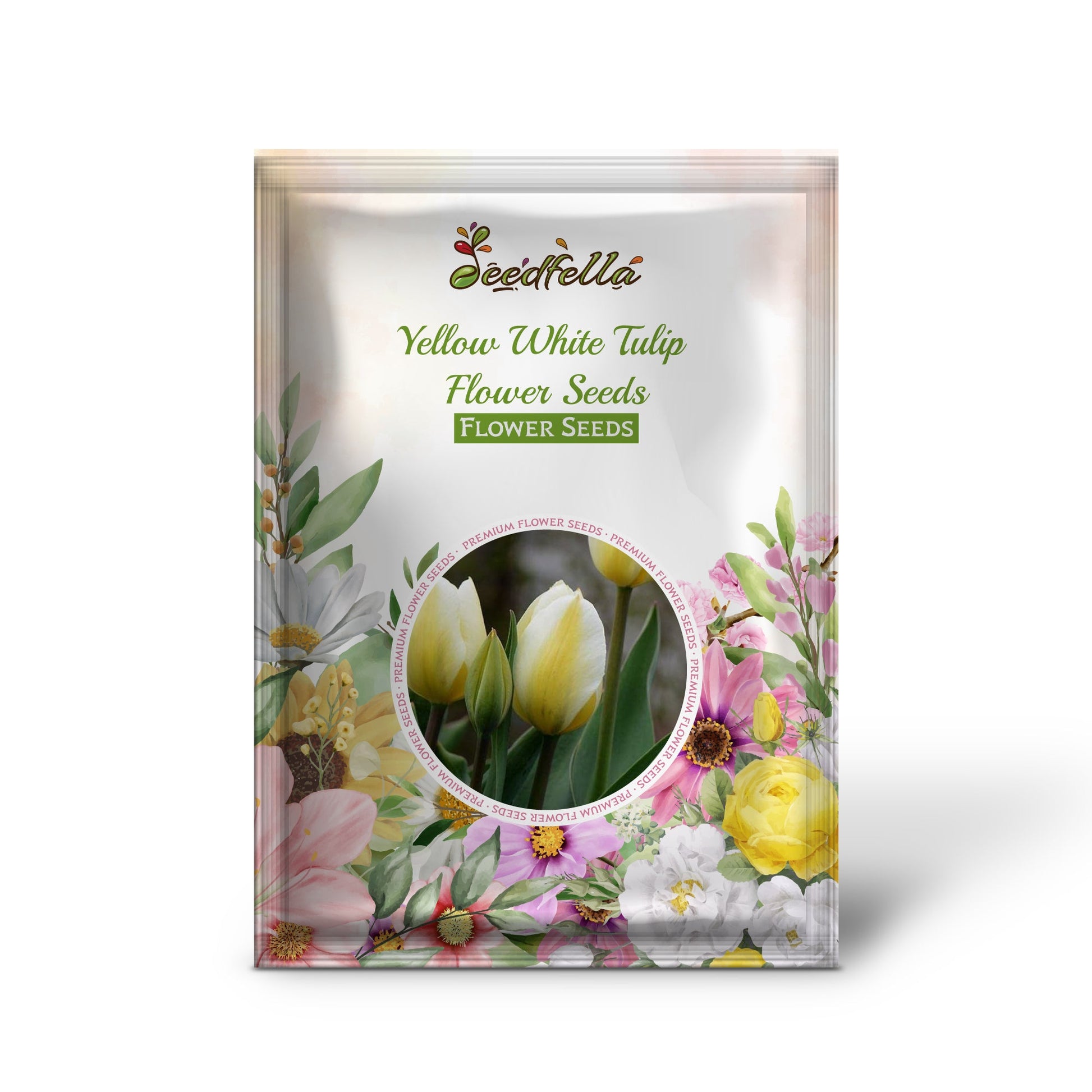 Yellow White Tulip Flower Seeds